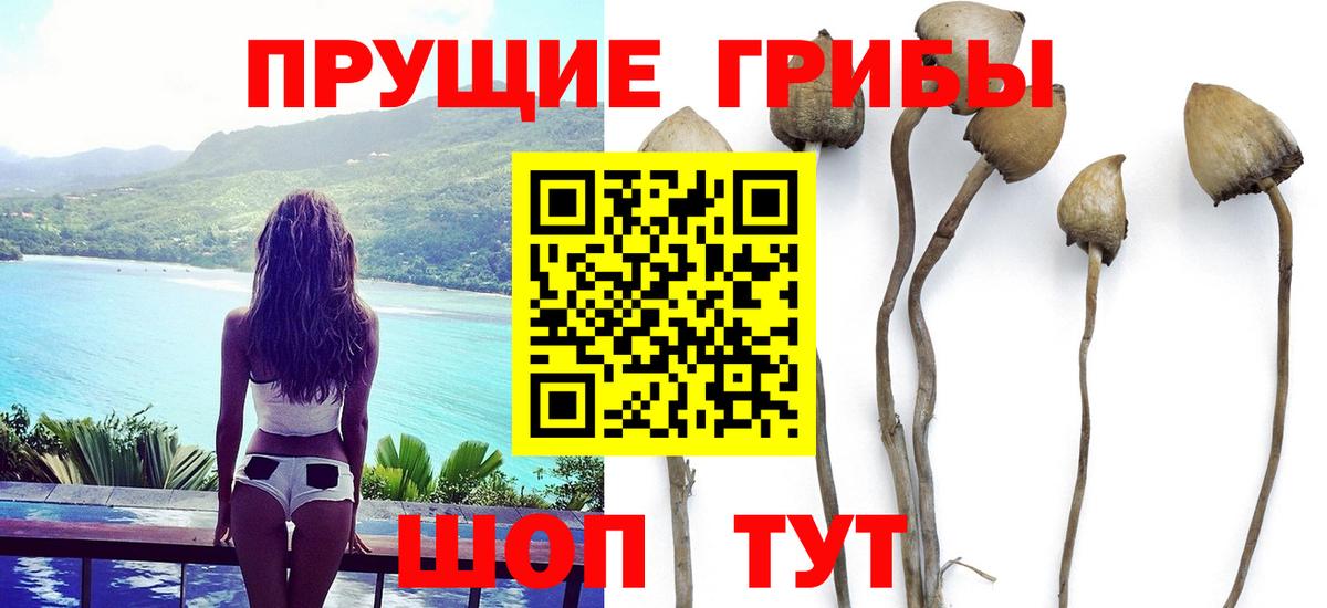 Галлюциногенные грибы мицелий Электросталь