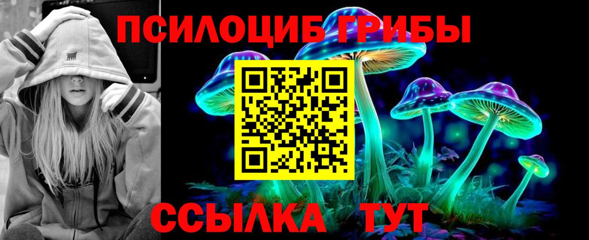 Электросталь  Псилоцибиновые грибы прущие грибы  Галлюциногенные грибы GOLDEN TEACHER  наркошоп  Вход с VPN 